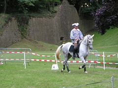 REMPARTS LONGWY 2008 291